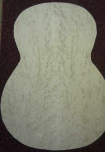 The Back